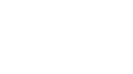 RCB988 Logo